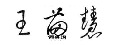 駱恆光王苗慧草書個性簽名怎么寫