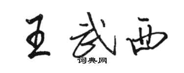 駱恆光王武西行書個性簽名怎么寫