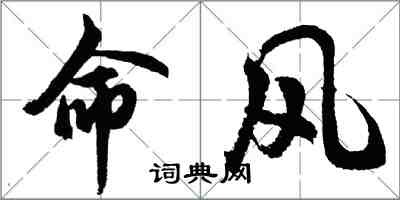 胡問遂命風行書怎么寫