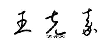 梁錦英王克嘉草書個性簽名怎么寫