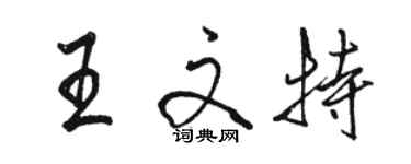 駱恆光王文特行書個性簽名怎么寫