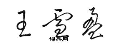 駱恆光王雪盈草書個性簽名怎么寫