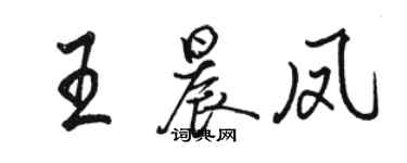 駱恆光王晨鳳行書個性簽名怎么寫