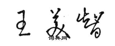 駱恆光王美智草書個性簽名怎么寫