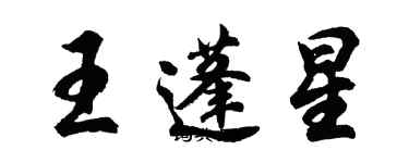 胡問遂王蓬星行書個性簽名怎么寫