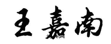 胡問遂王嘉南行書個性簽名怎么寫