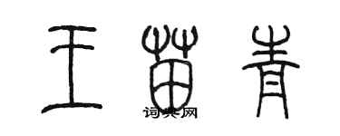 陳墨王苗青篆書個性簽名怎么寫