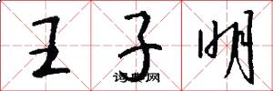 王子明怎么寫好看