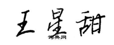 王正良王星甜行書個性簽名怎么寫
