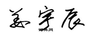 朱錫榮姜宇辰草書個性簽名怎么寫