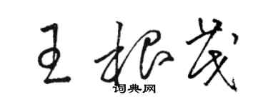 駱恆光王根茂草書個性簽名怎么寫