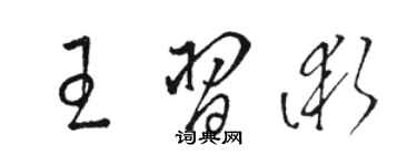 駱恆光王習術草書個性簽名怎么寫