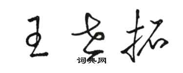 駱恆光王世拓草書個性簽名怎么寫