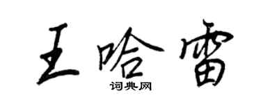 王正良王哈雷行書個性簽名怎么寫