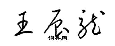 梁錦英王辰龍草書個性簽名怎么寫