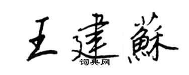 王正良王建蘇行書個性簽名怎么寫