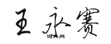 駱恆光王永賽行書個性簽名怎么寫