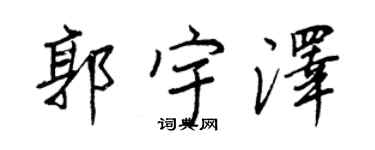 王正良郭宇澤行書個性簽名怎么寫