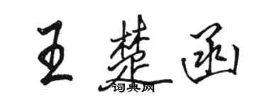 駱恆光王楚函行書個性簽名怎么寫