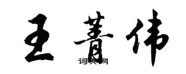 胡問遂王菁偉行書個性簽名怎么寫