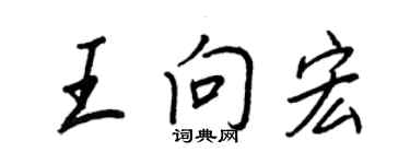 王正良王向宏行書個性簽名怎么寫