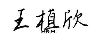 王正良王植欣行書個性簽名怎么寫