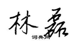 王正良林磊行書個性簽名怎么寫