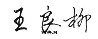 駱恆光王良柳行書個性簽名怎么寫