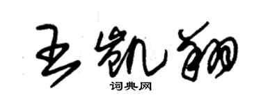 朱錫榮王凱翔草書個性簽名怎么寫