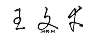 駱恆光王文幸草書個性簽名怎么寫