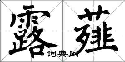 翁闓運露薤楷書怎么寫