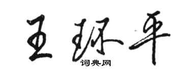 駱恆光王環平行書個性簽名怎么寫