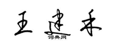 梁錦英王建禾草書個性簽名怎么寫