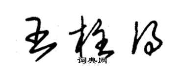 朱錫榮王柱得草書個性簽名怎么寫