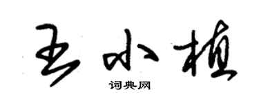 朱錫榮王小植草書個性簽名怎么寫