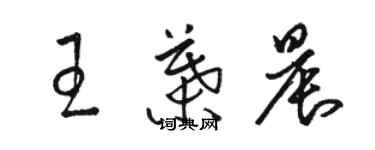 駱恆光王葉晨草書個性簽名怎么寫