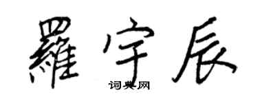 王正良羅宇辰行書個性簽名怎么寫