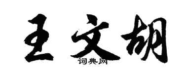 胡問遂王文胡行書個性簽名怎么寫