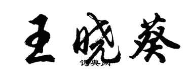 胡問遂王曉葵行書個性簽名怎么寫