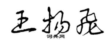 曾慶福王揚飛草書個性簽名怎么寫