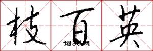 枝百英怎么寫好看