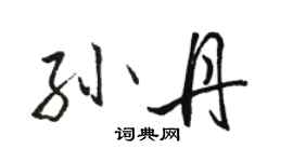 駱恆光孫丹行書個性簽名怎么寫