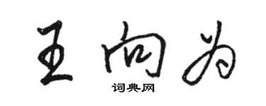駱恆光王向為行書個性簽名怎么寫