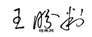 駱恆光王盼判草書個性簽名怎么寫