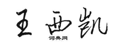 駱恆光王西凱行書個性簽名怎么寫