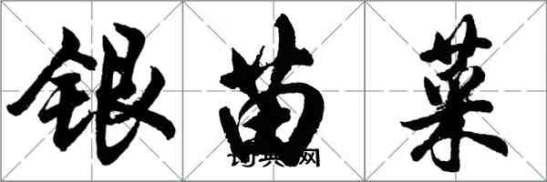 胡問遂銀苗菜行書怎么寫