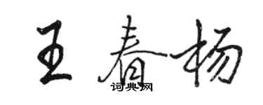 駱恆光王春楊行書個性簽名怎么寫