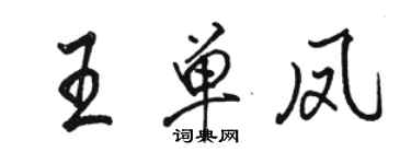 駱恆光王單鳳行書個性簽名怎么寫