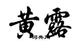 胡問遂黃露行書個性簽名怎么寫