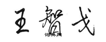 駱恆光王智戈行書個性簽名怎么寫